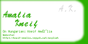 amalia kneif business card